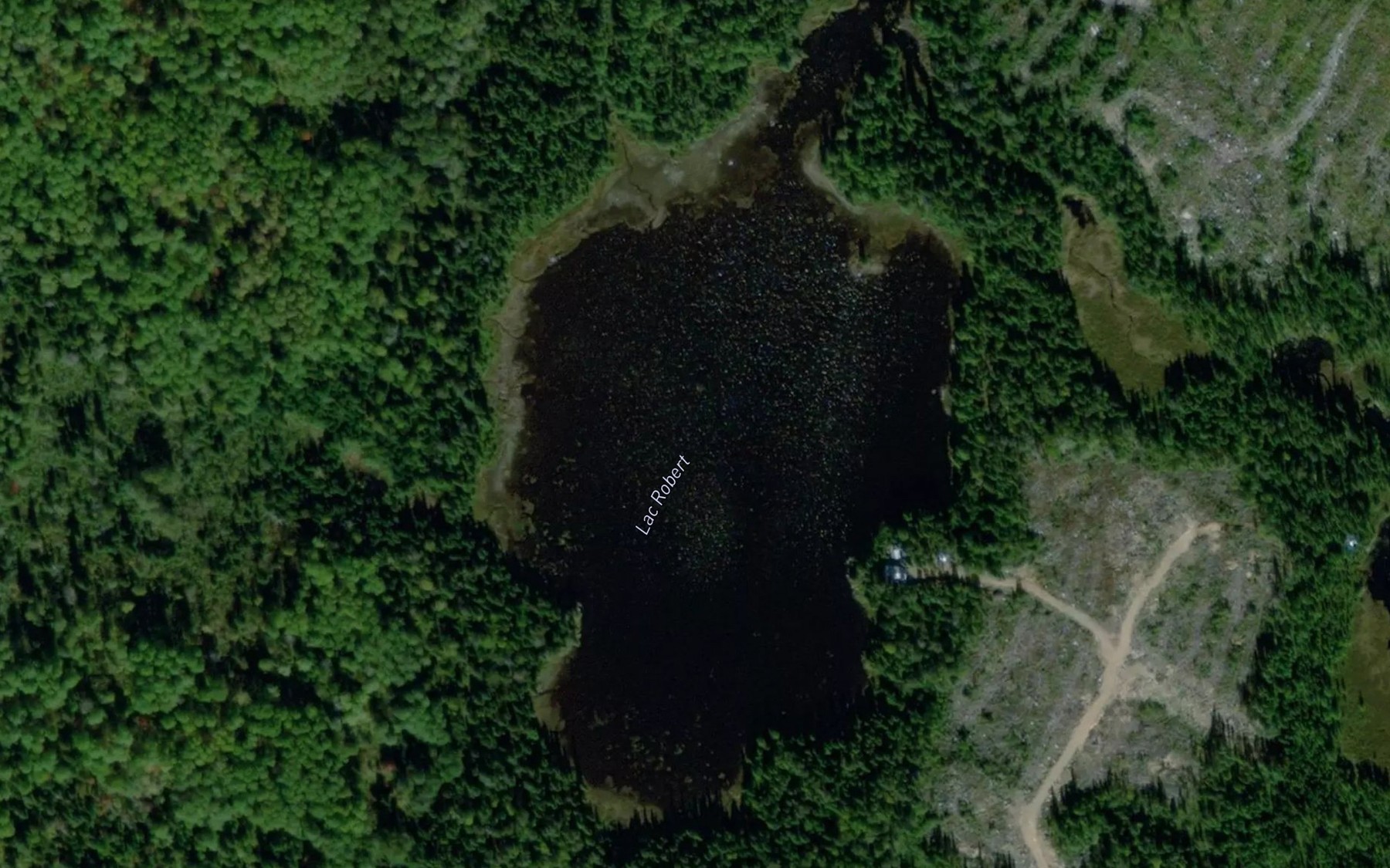 Satellite map of the Lac Robert
