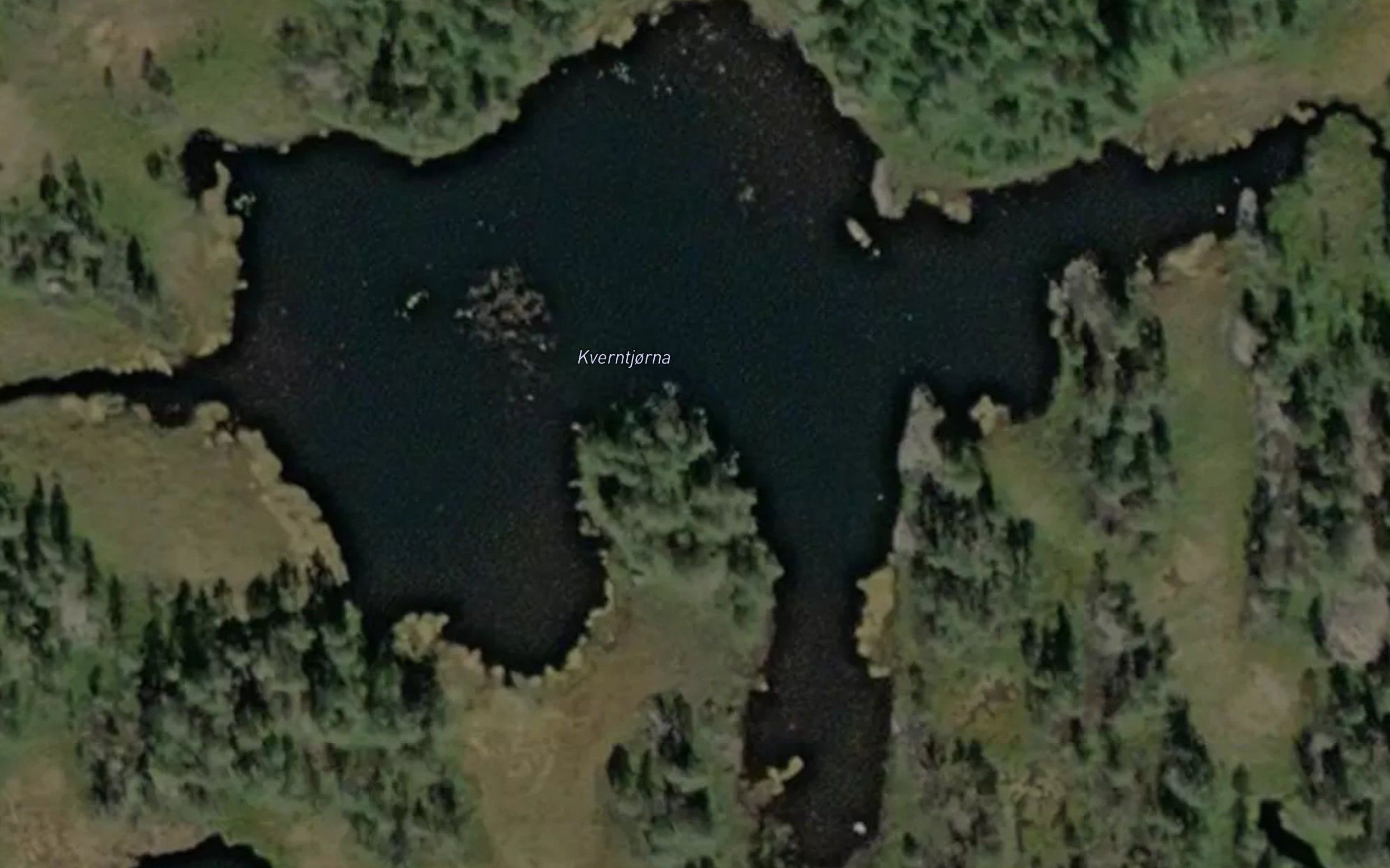 Kverntjorna