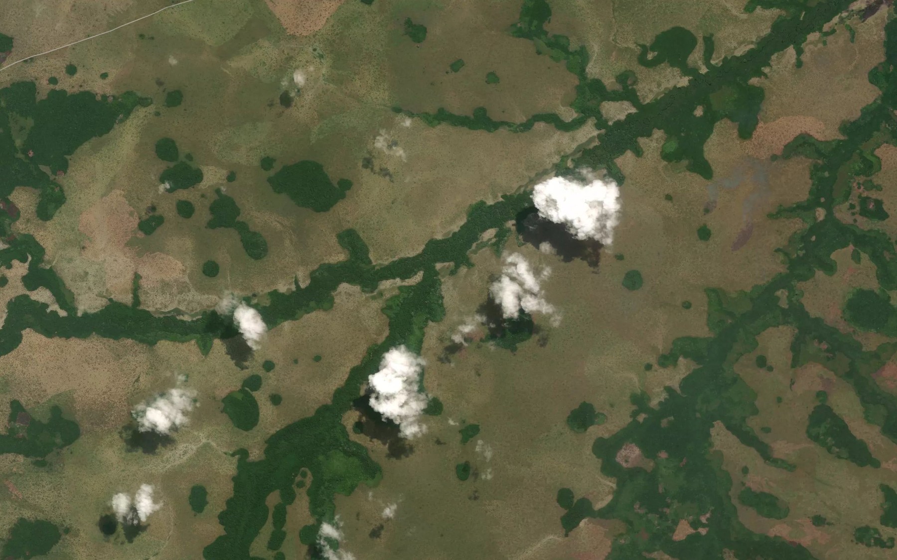Satellite map of the Ngengali