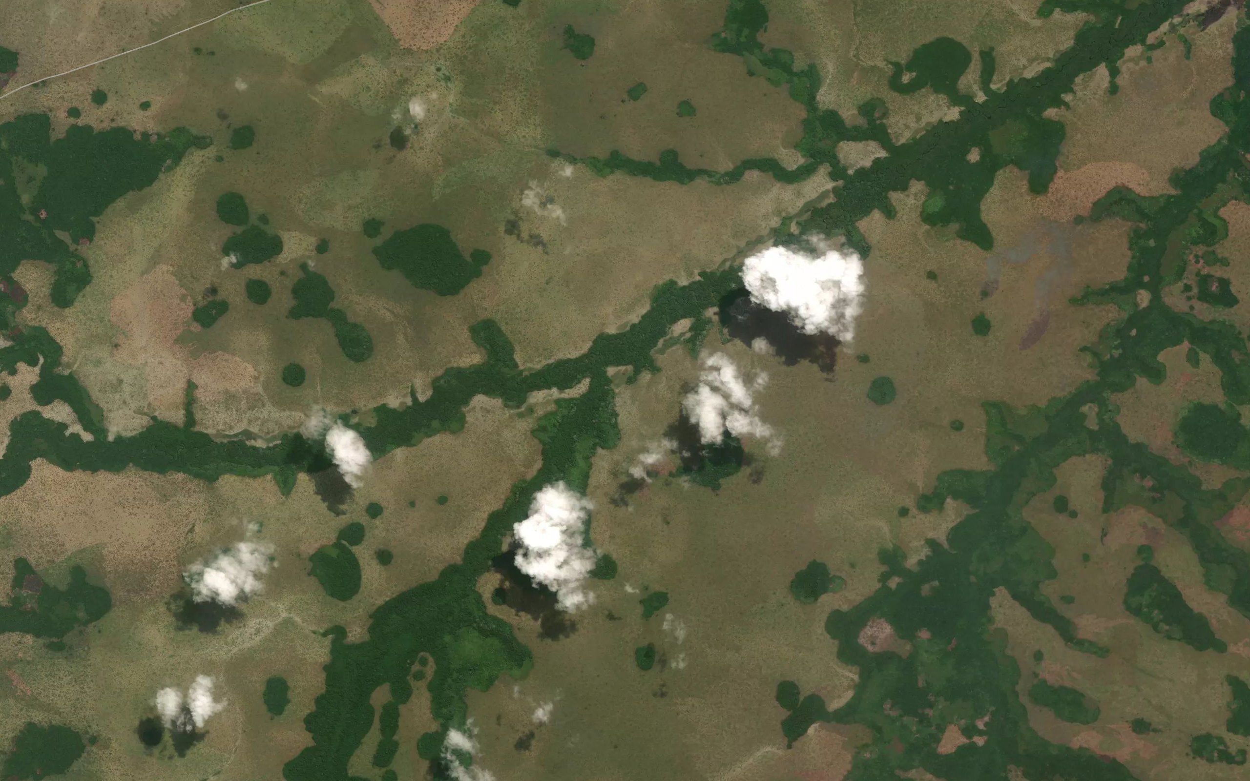 Ngengali
