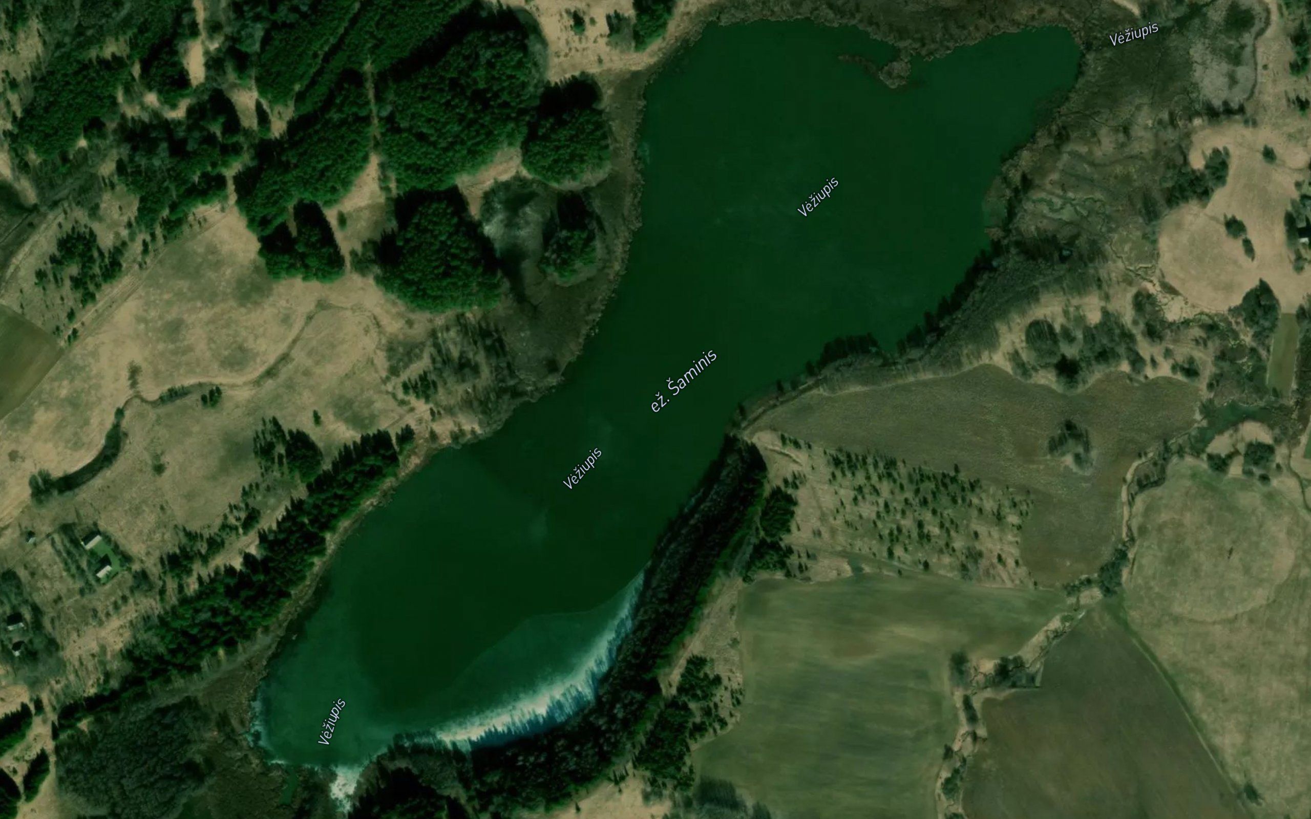 Ezeras Saminis