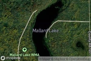 Mallard Lake