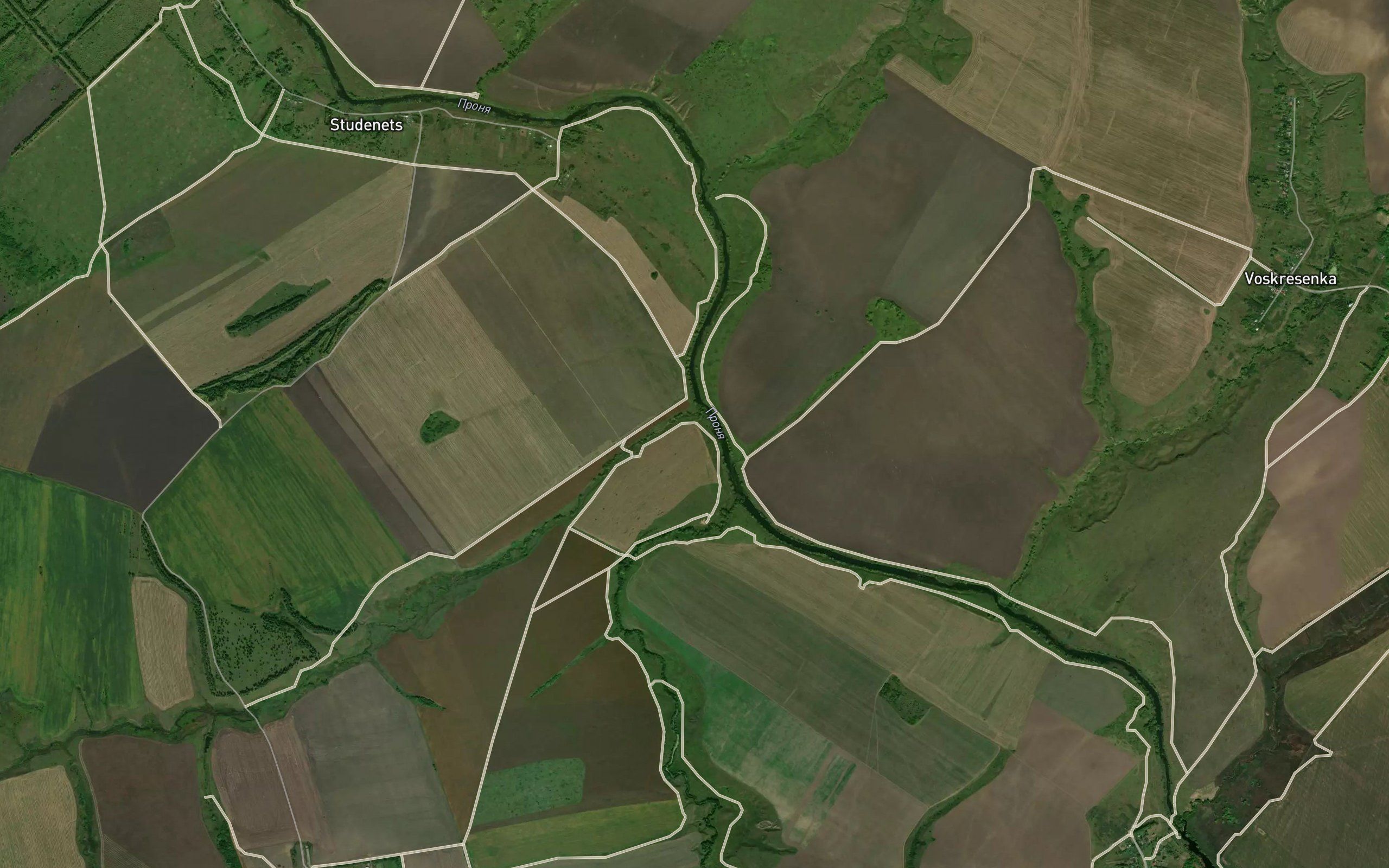 Yasenka