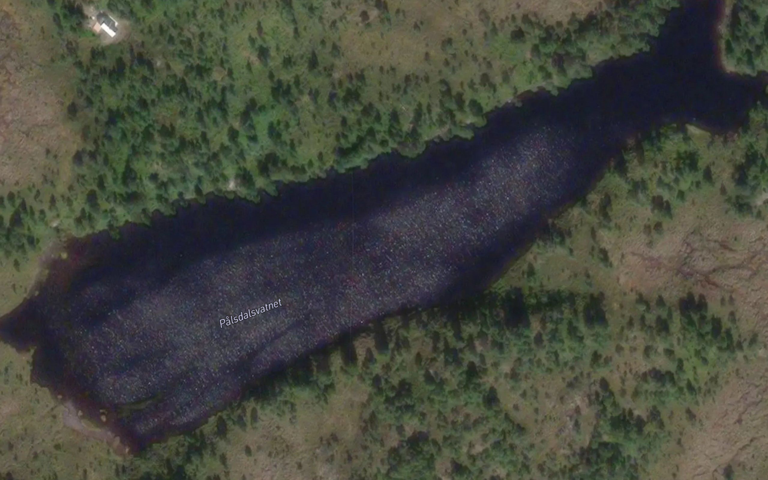 Palsdalsvatnet
