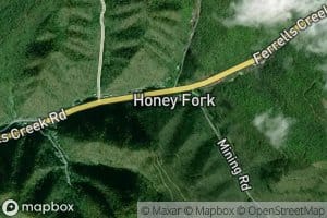 Honey Fork