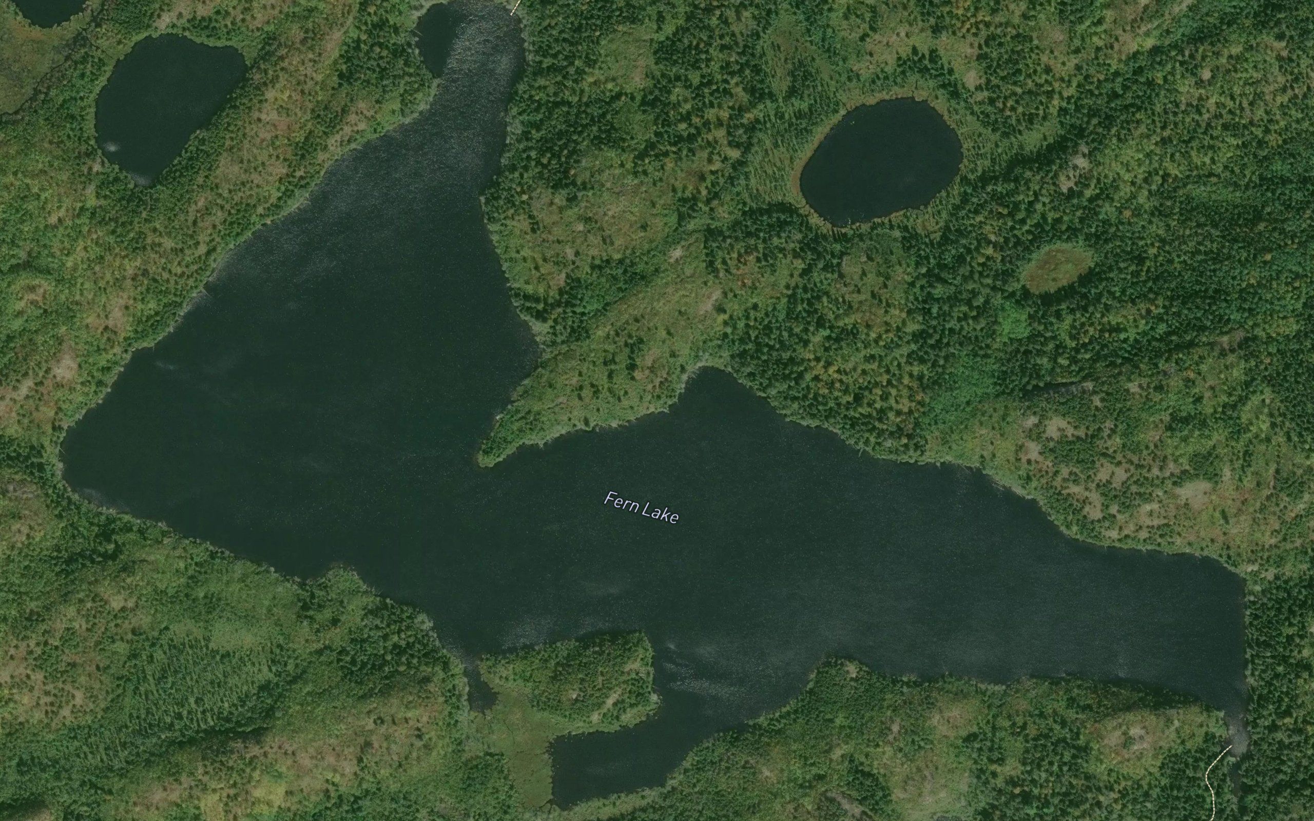 Fern Lake
