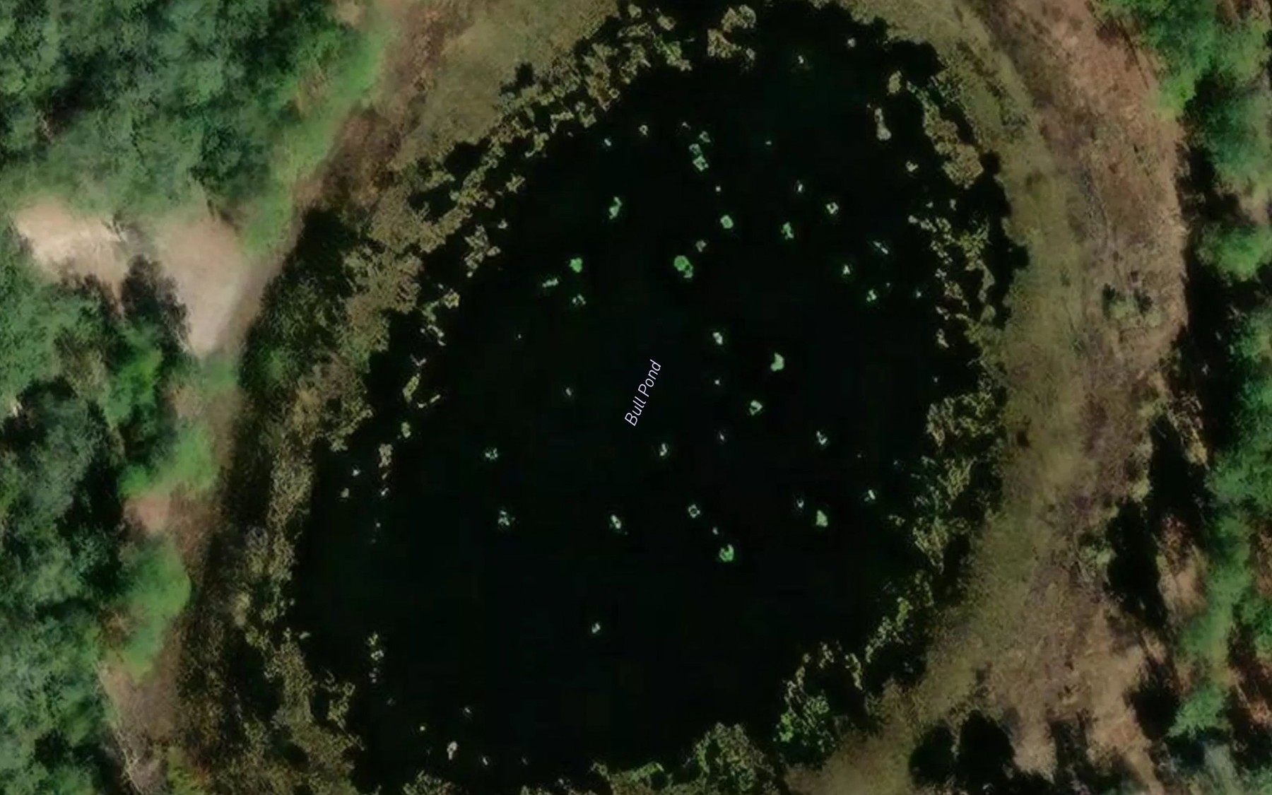 Satellite map of the Bull Pond