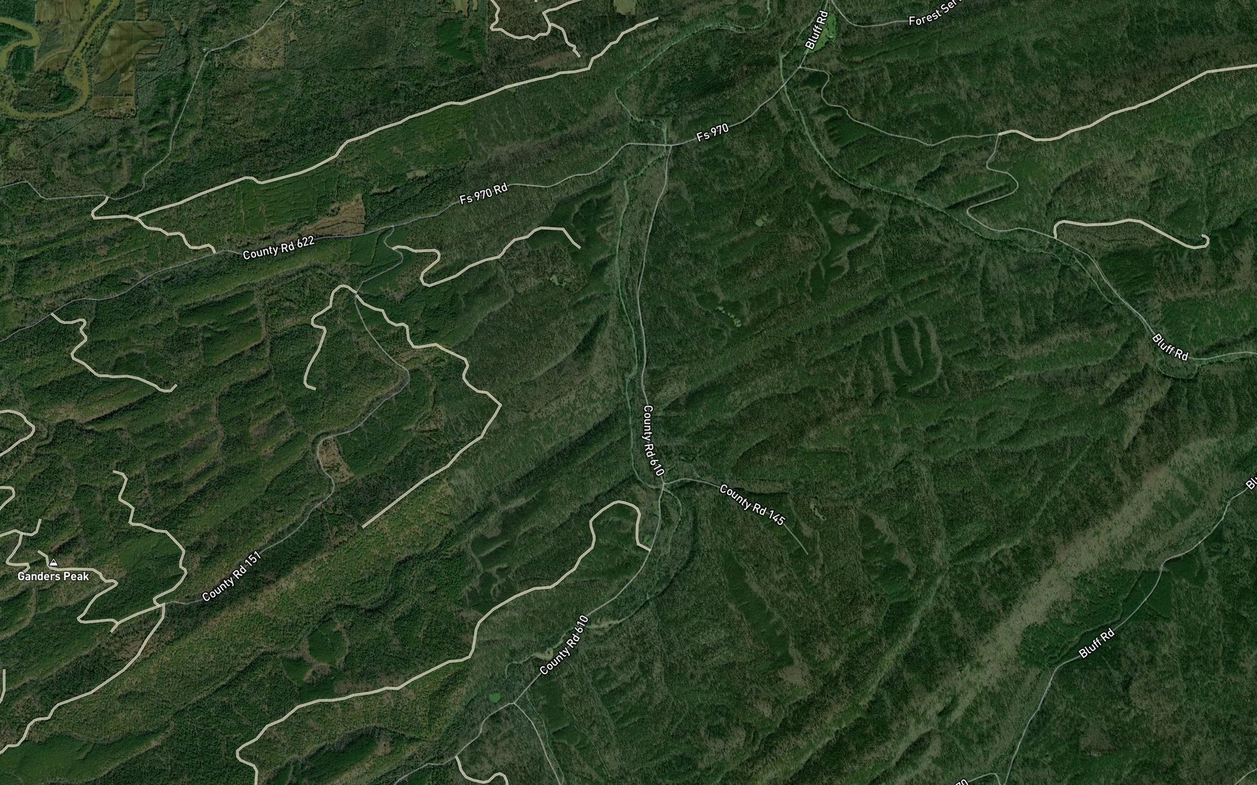 Satellite map of the Long Branch