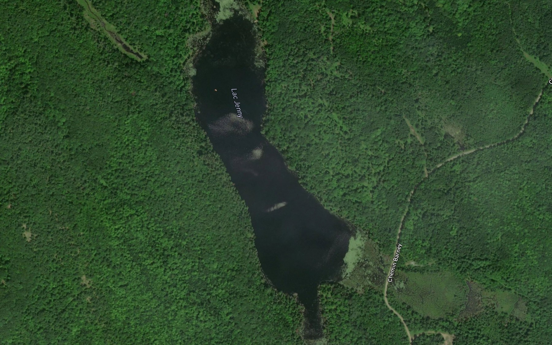 Satellite map of the Lac Jenny