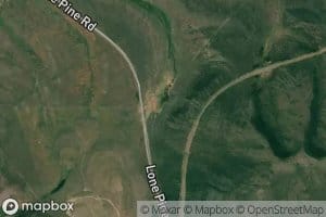 Cow Spring