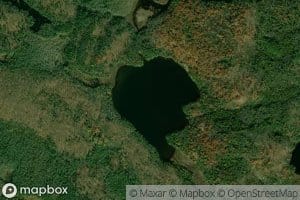 Higgins Lake