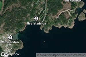 Gronnviga