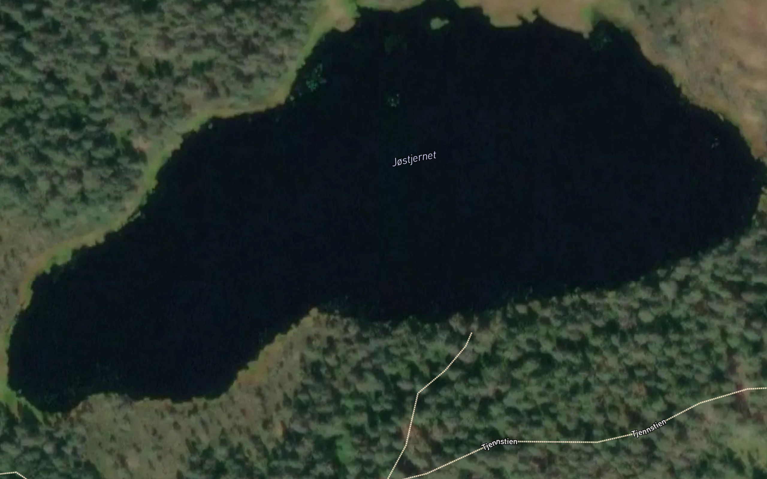 Jostjernet
