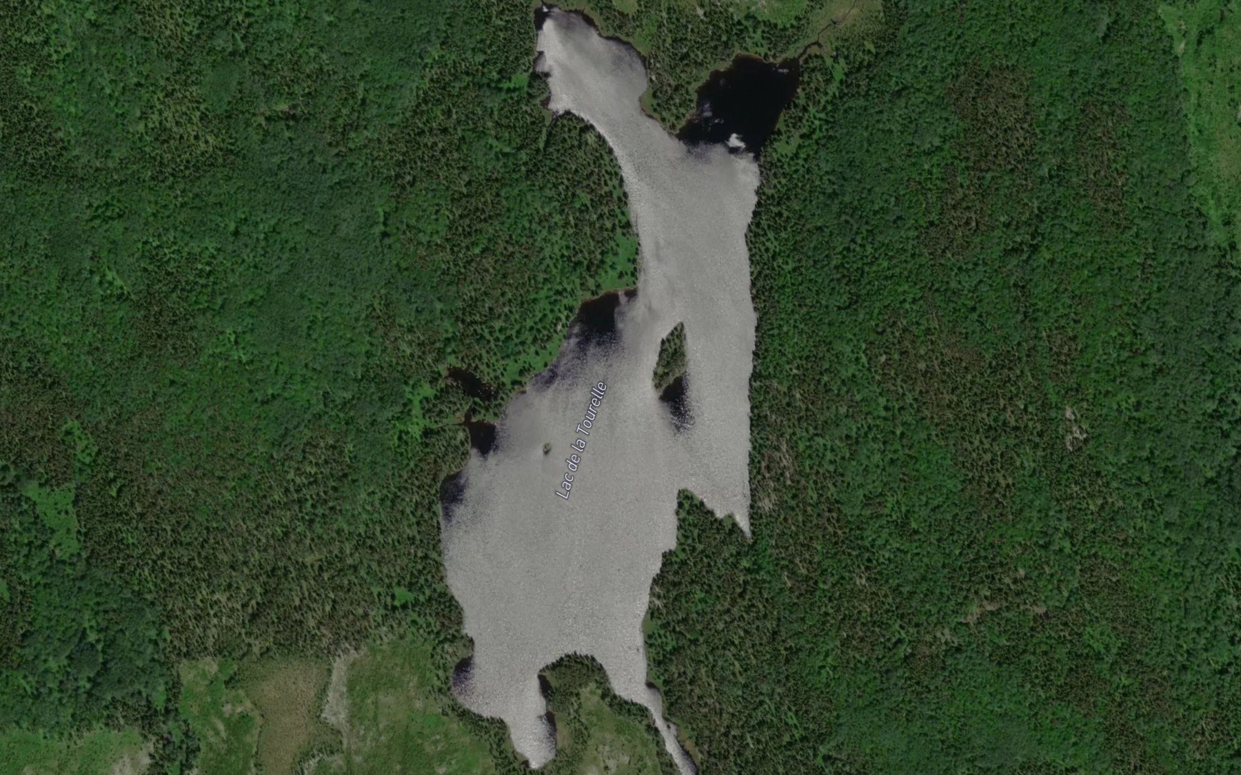 Satellite map of the Lac de la Tourelle