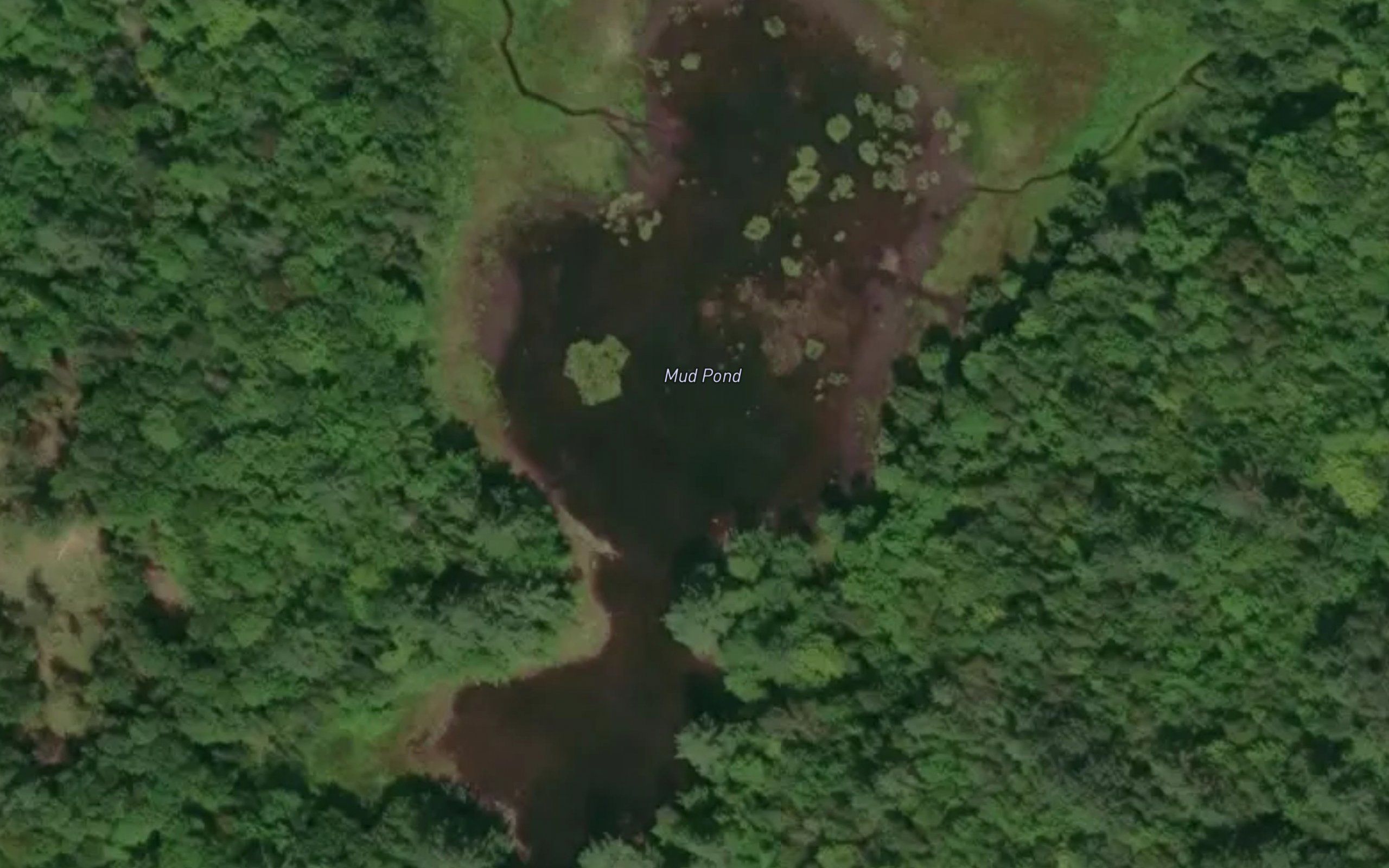 Mud Pond