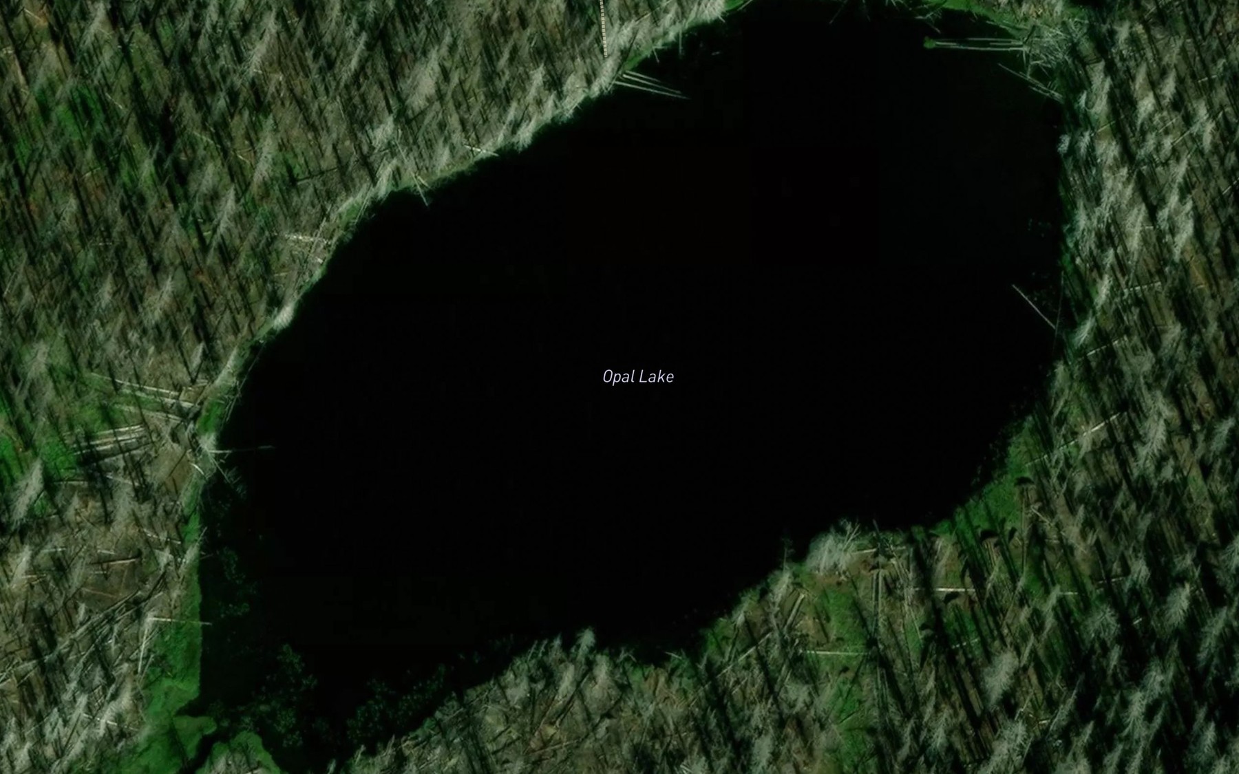 Satellite map of the Opal Lake