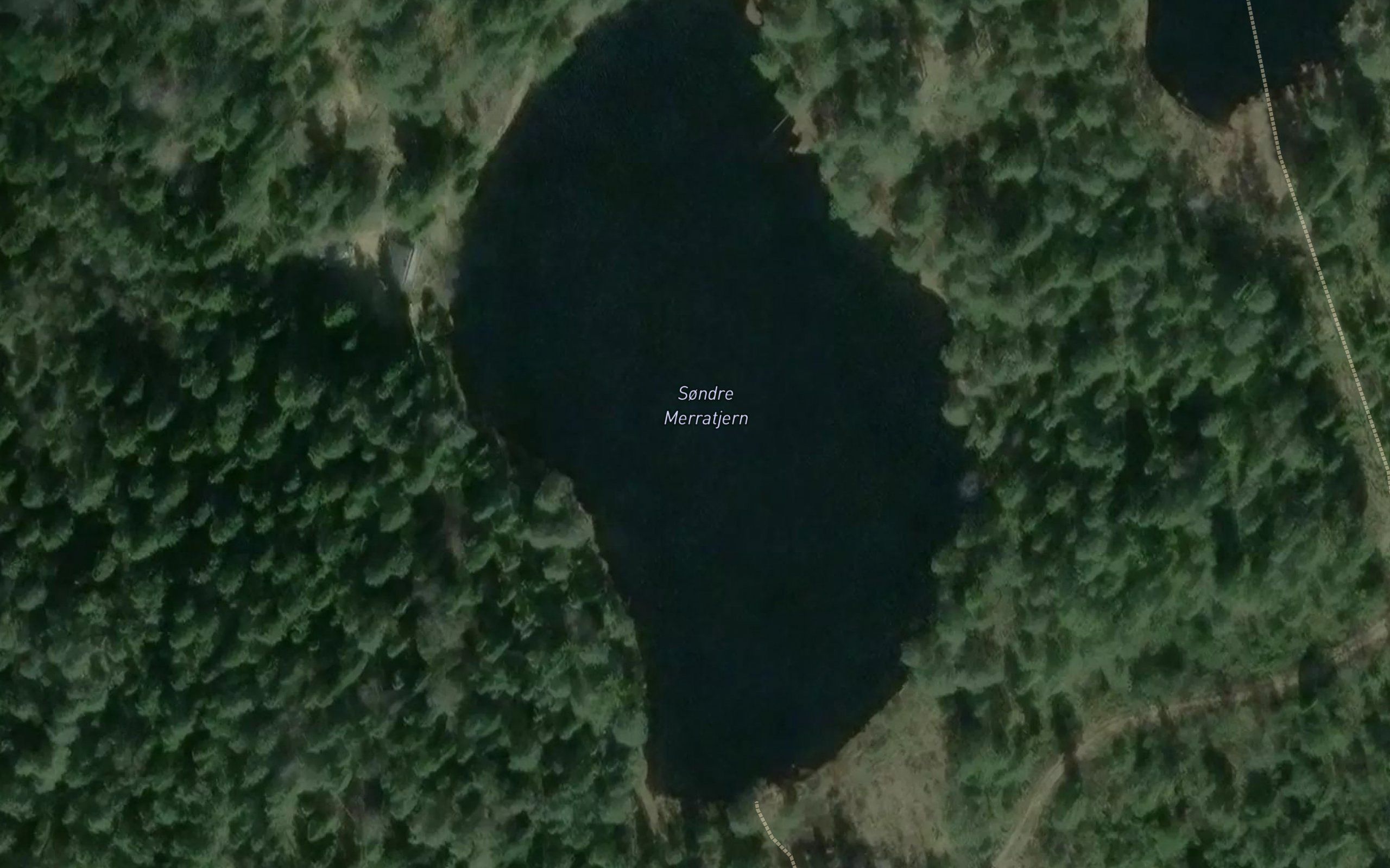 Merratjerna