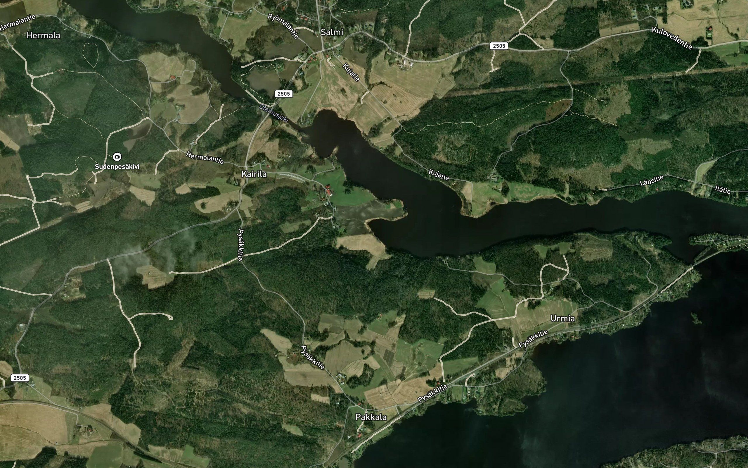 Koivunoja
