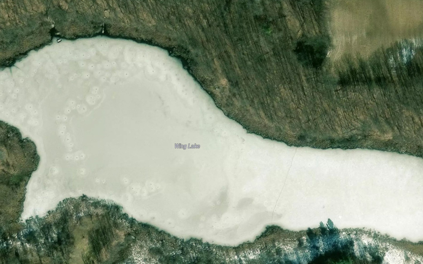 Satellite map of the Wing Lake