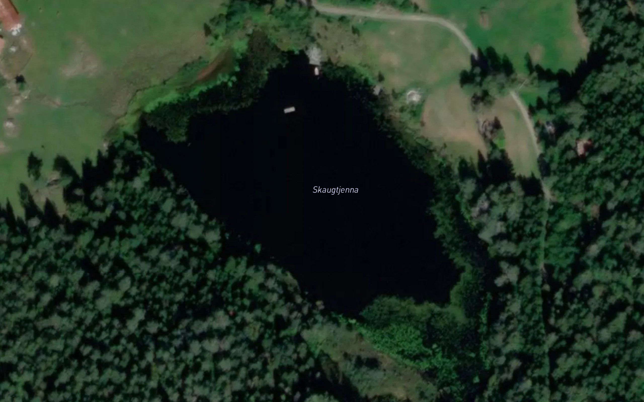Skogtjerna