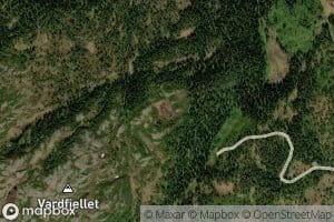 Vardfjelltjorna