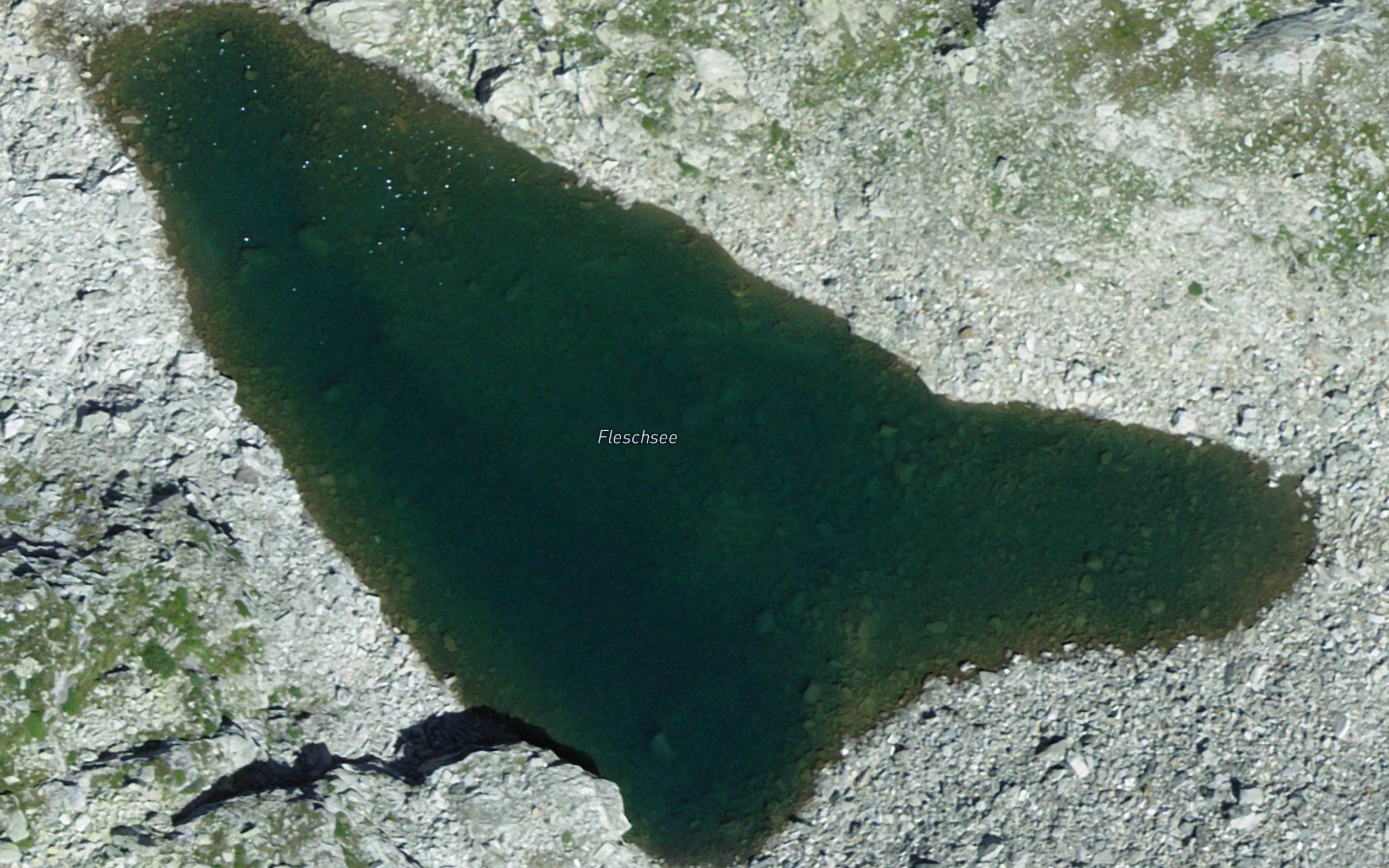 Fleschsee