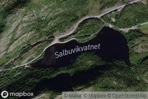 Salbuvikvatnet