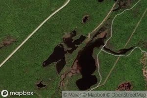 Mud Pond