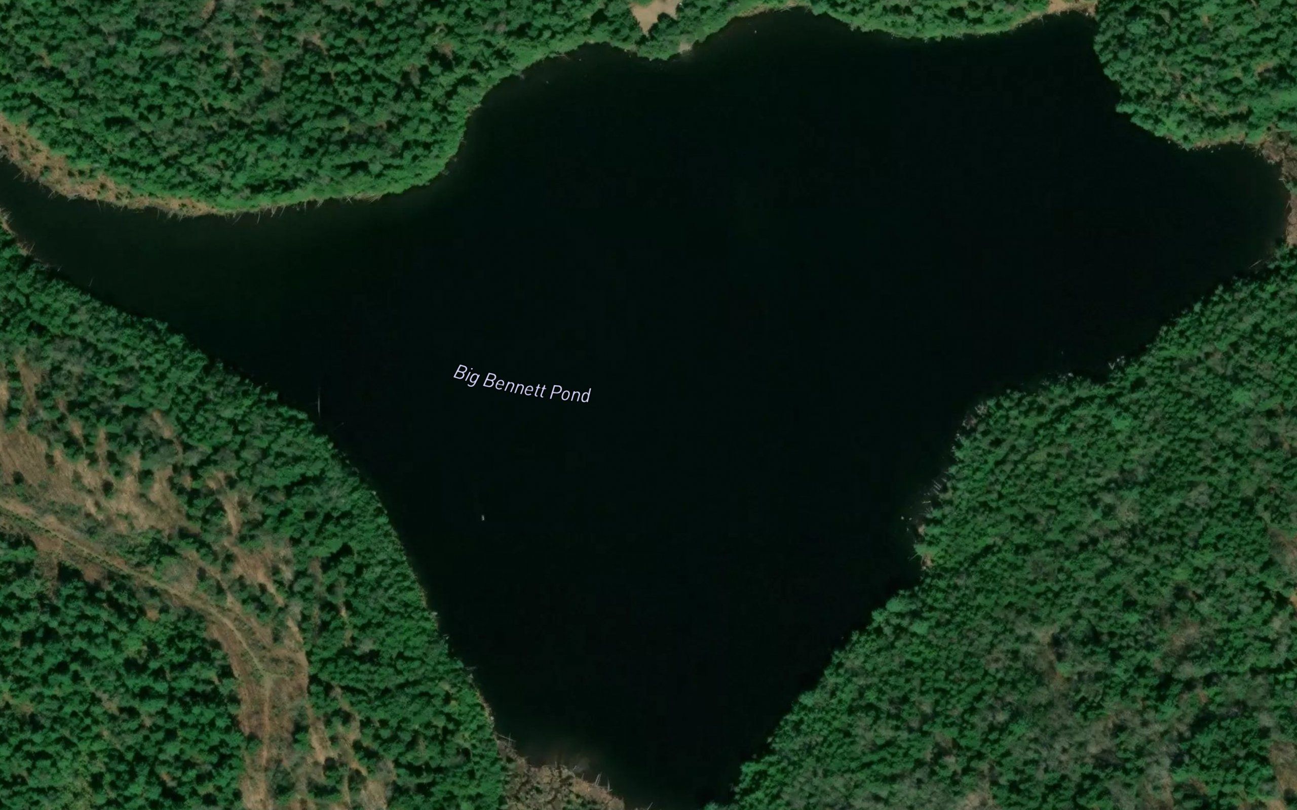 Big Bennett Pond