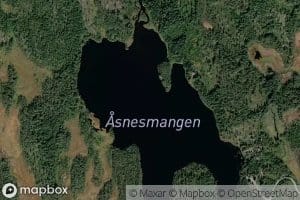 Asnesmangen