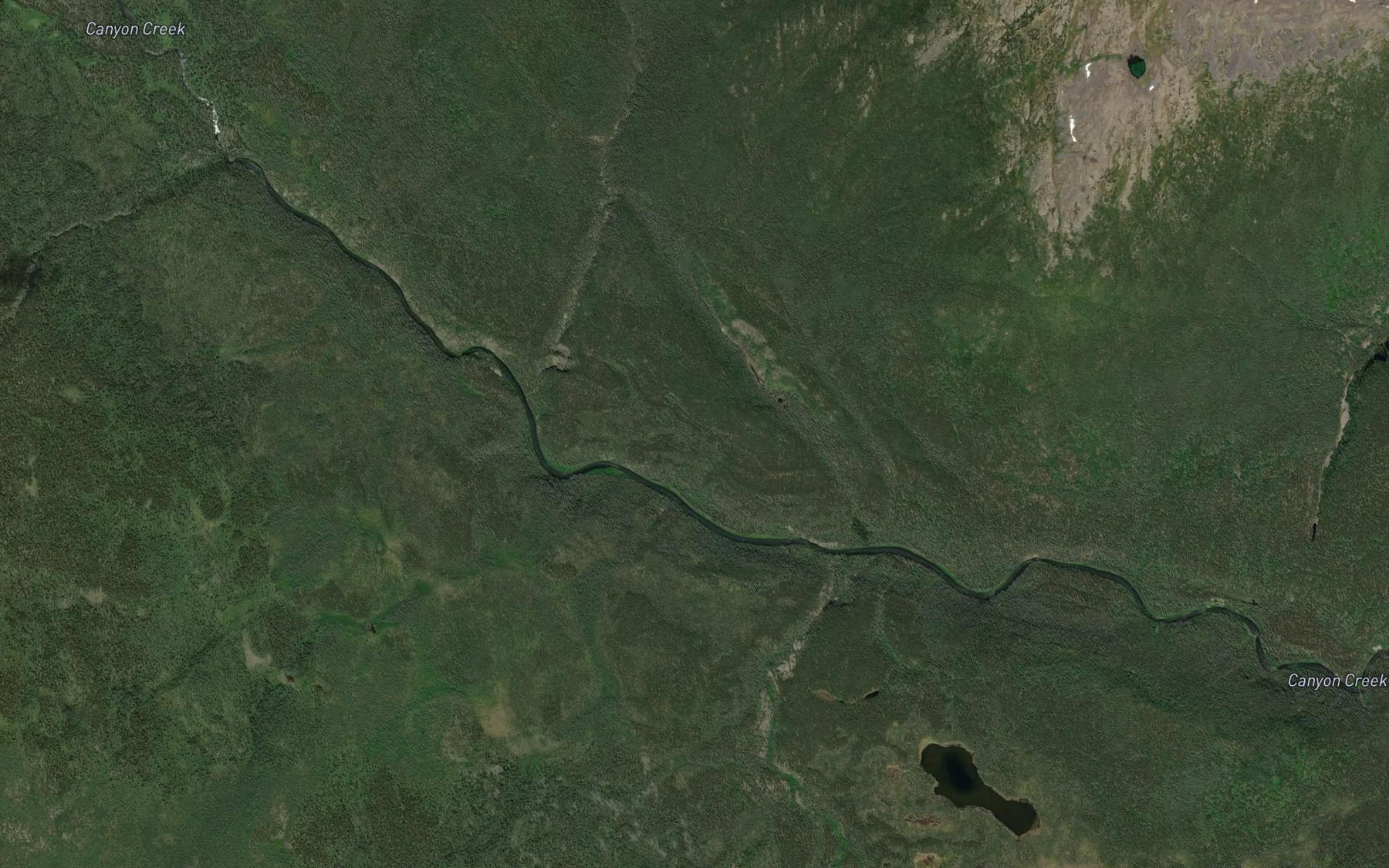 Satellite map of the Swamp Creek