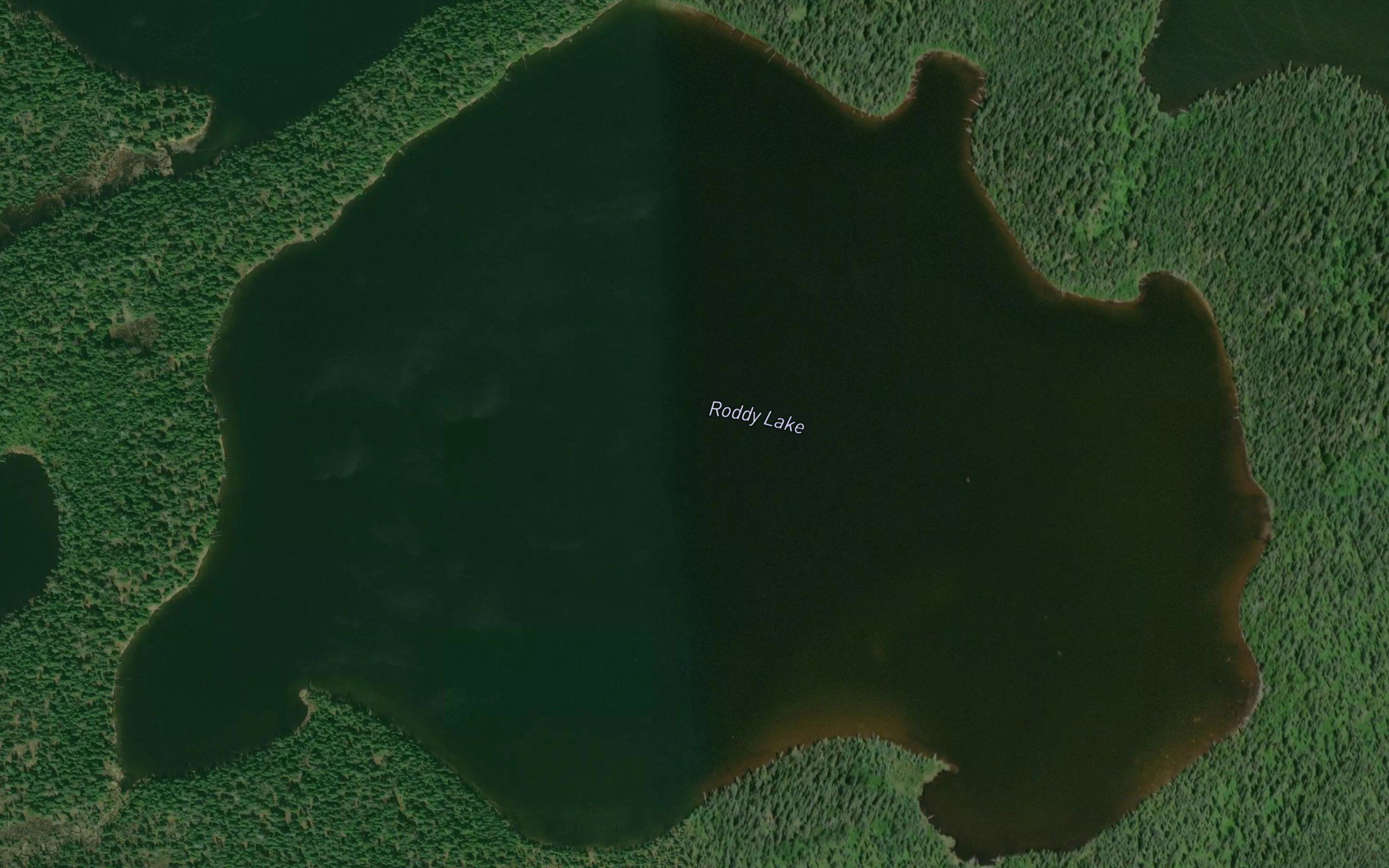 Roddy Lake
