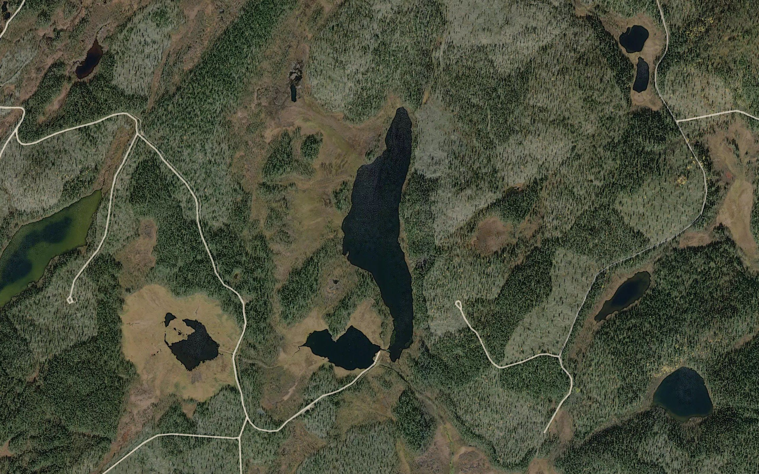 Puariskuatjaavras
