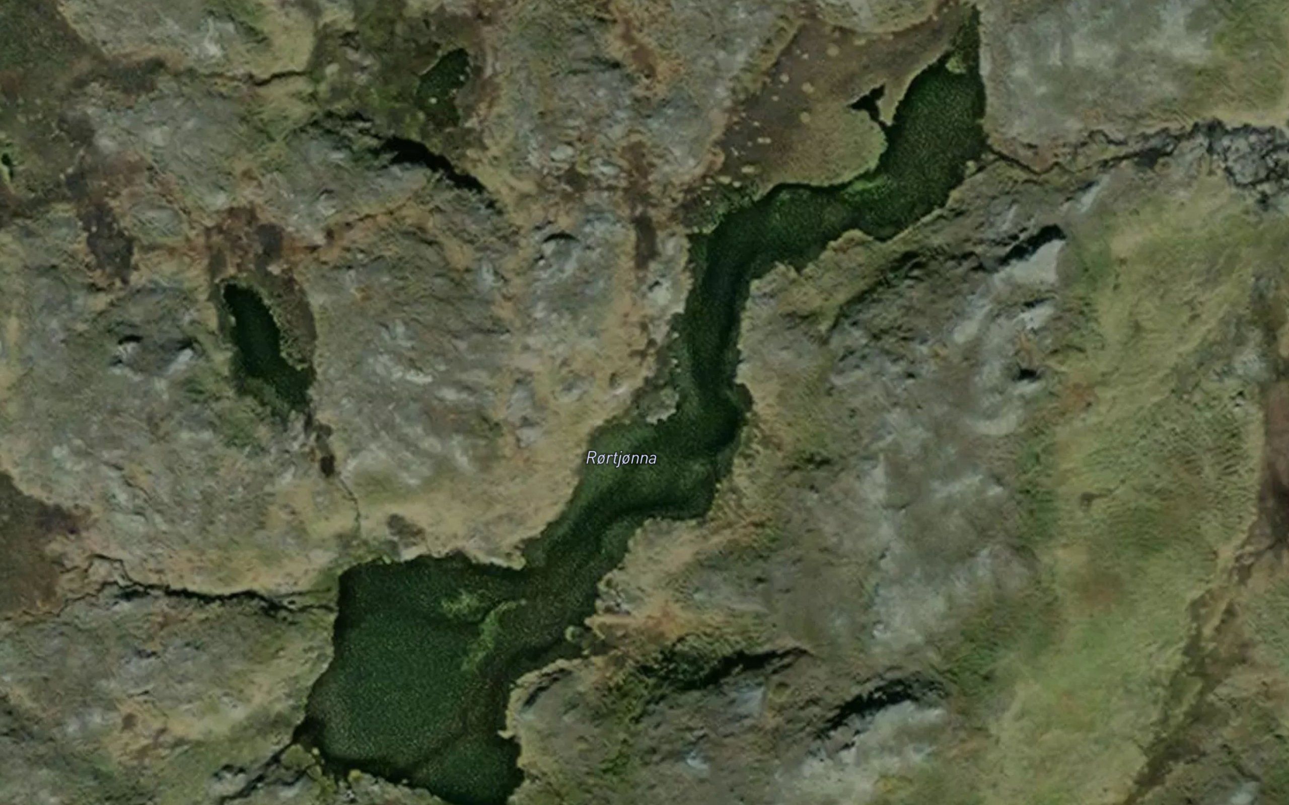 Royrtjorna