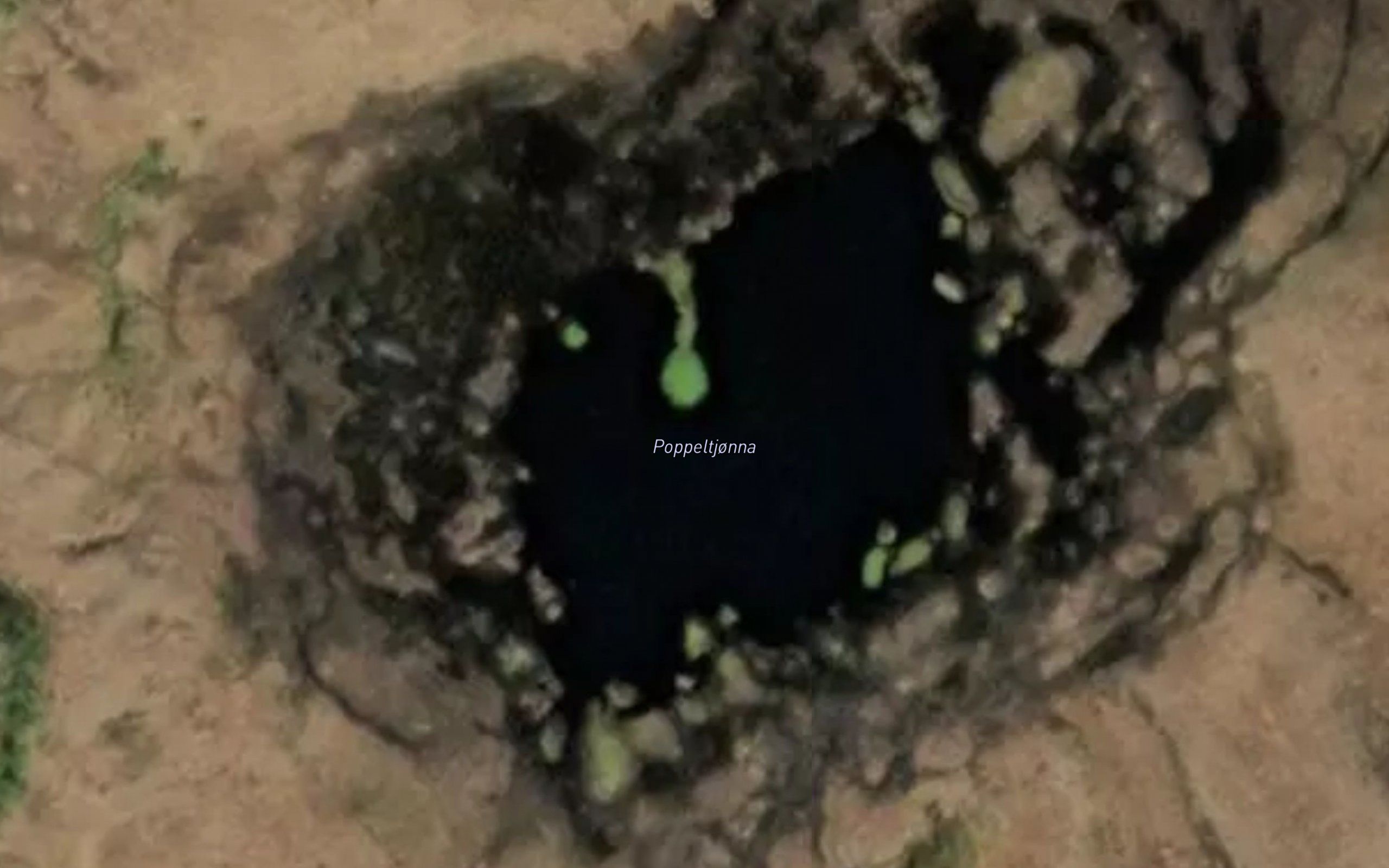 Poppeltjorna