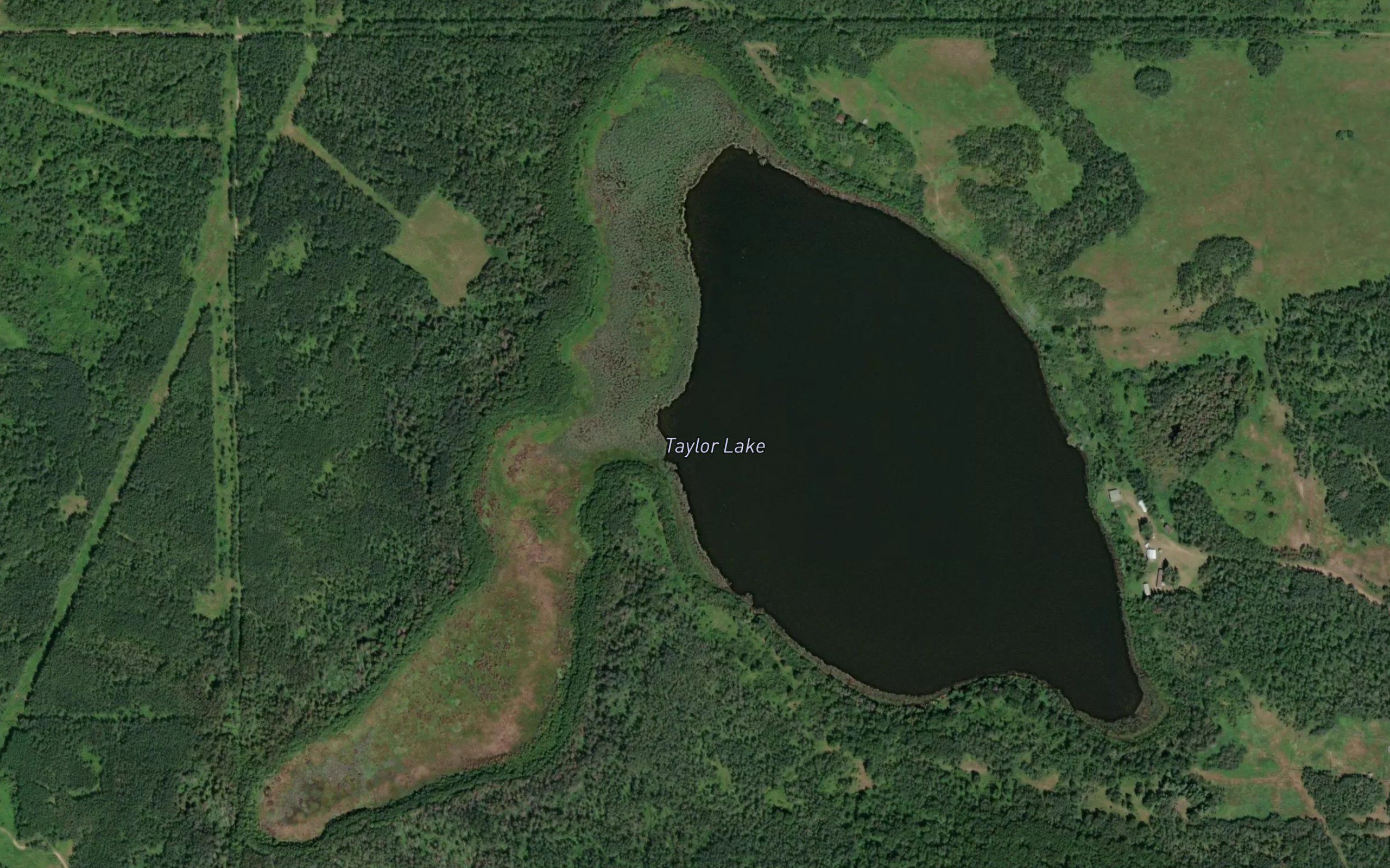 Taylor Lake