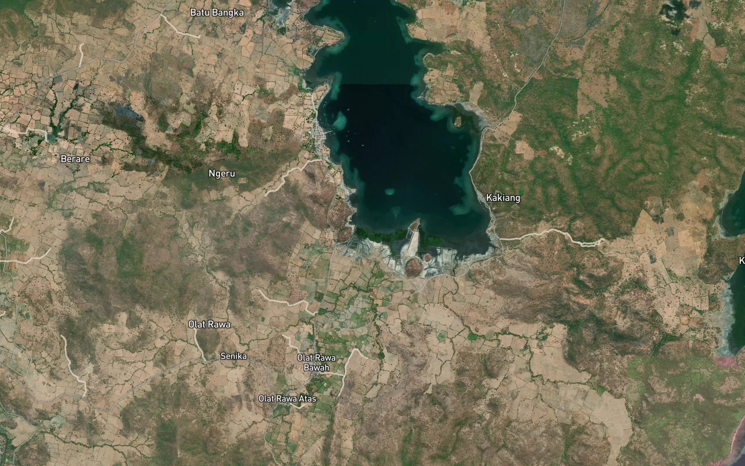 Kokar Senika