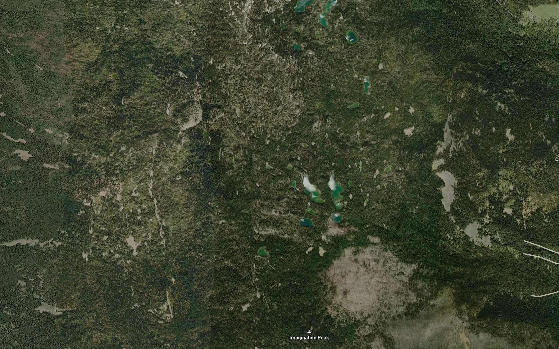 Satellite map of the Lake Florence