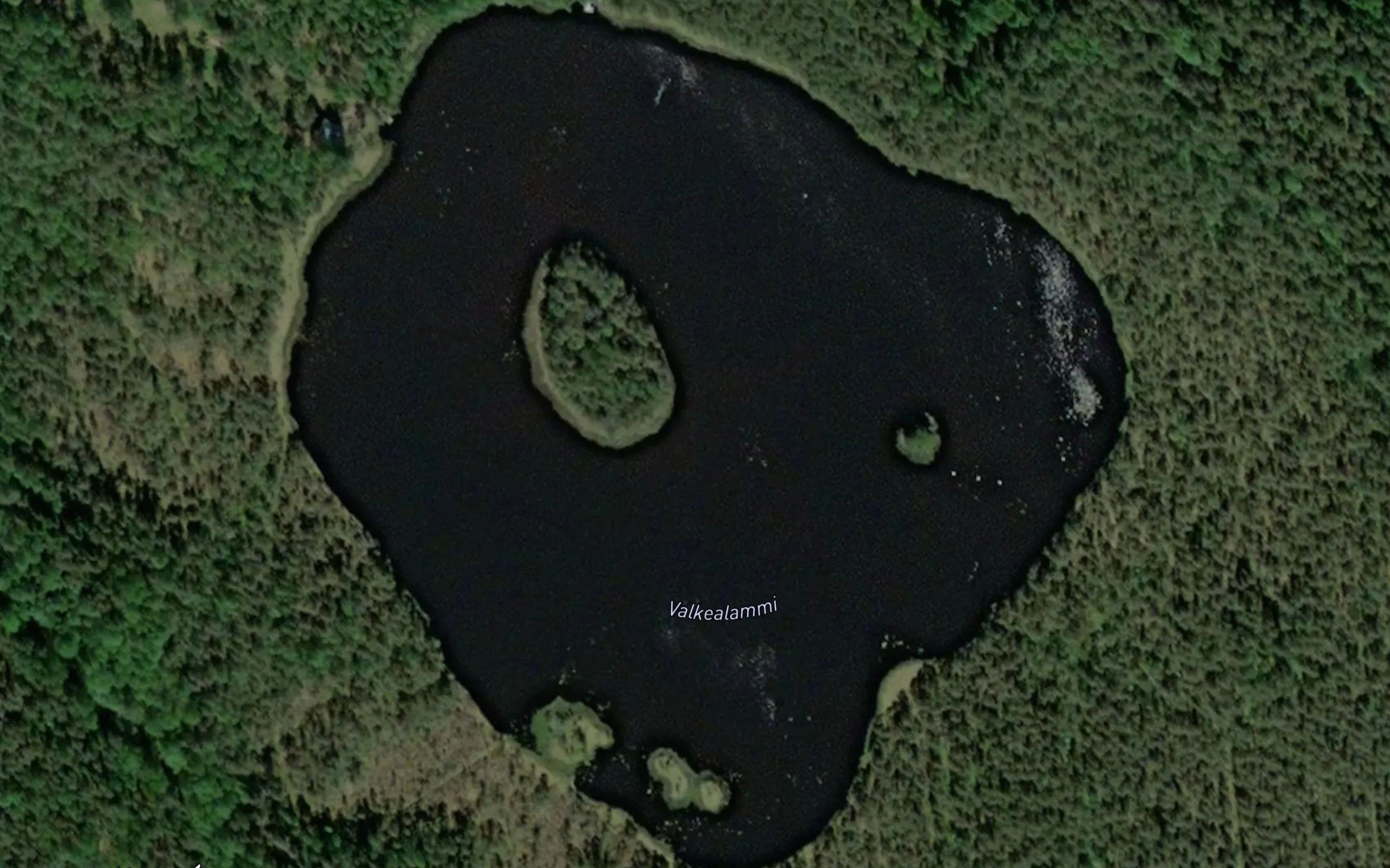 Valkealammi