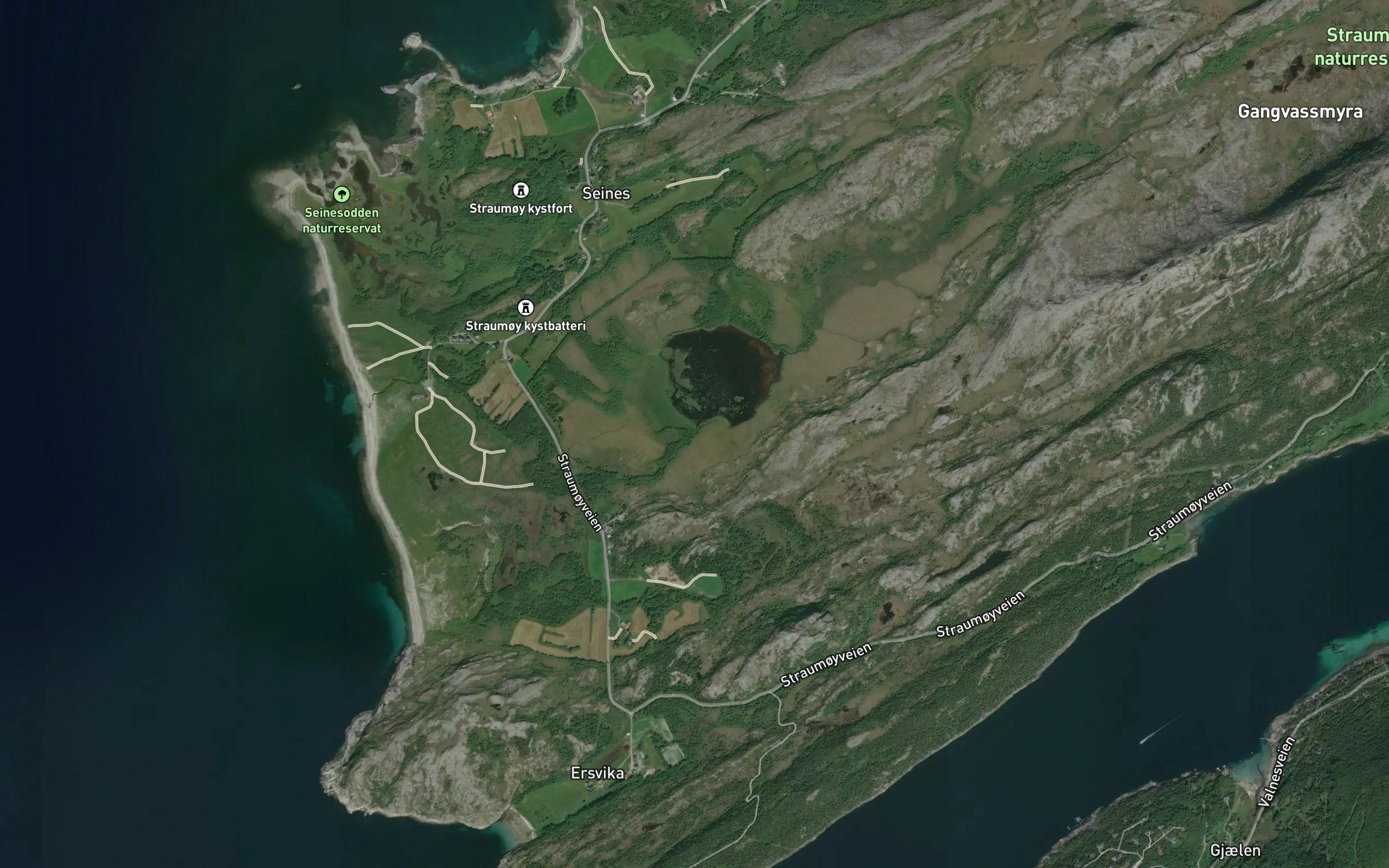 Mollvollelva