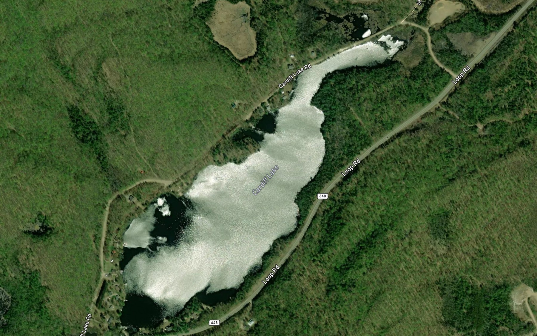 Satellite map of the Cardiff Lake