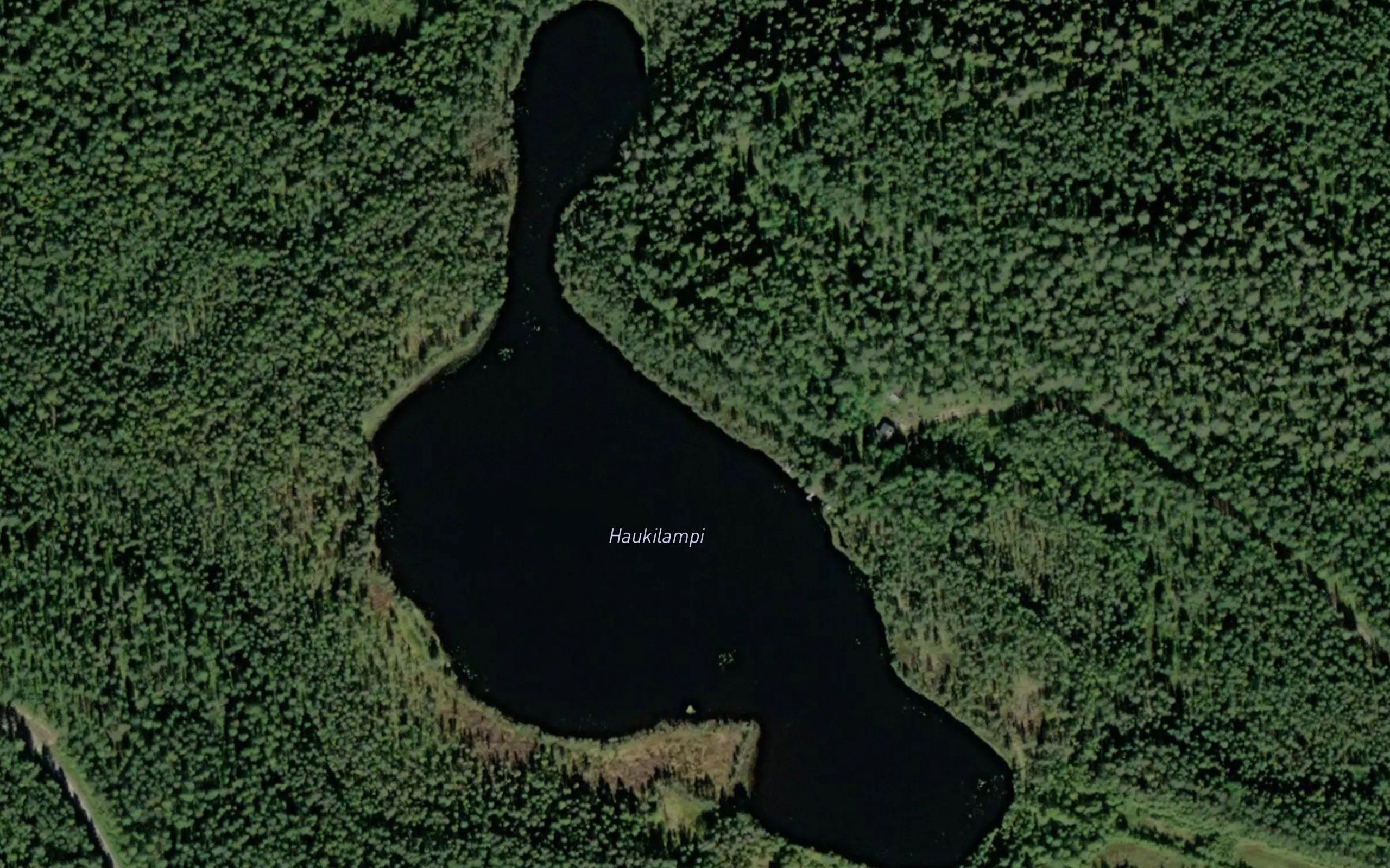 Haukilampi