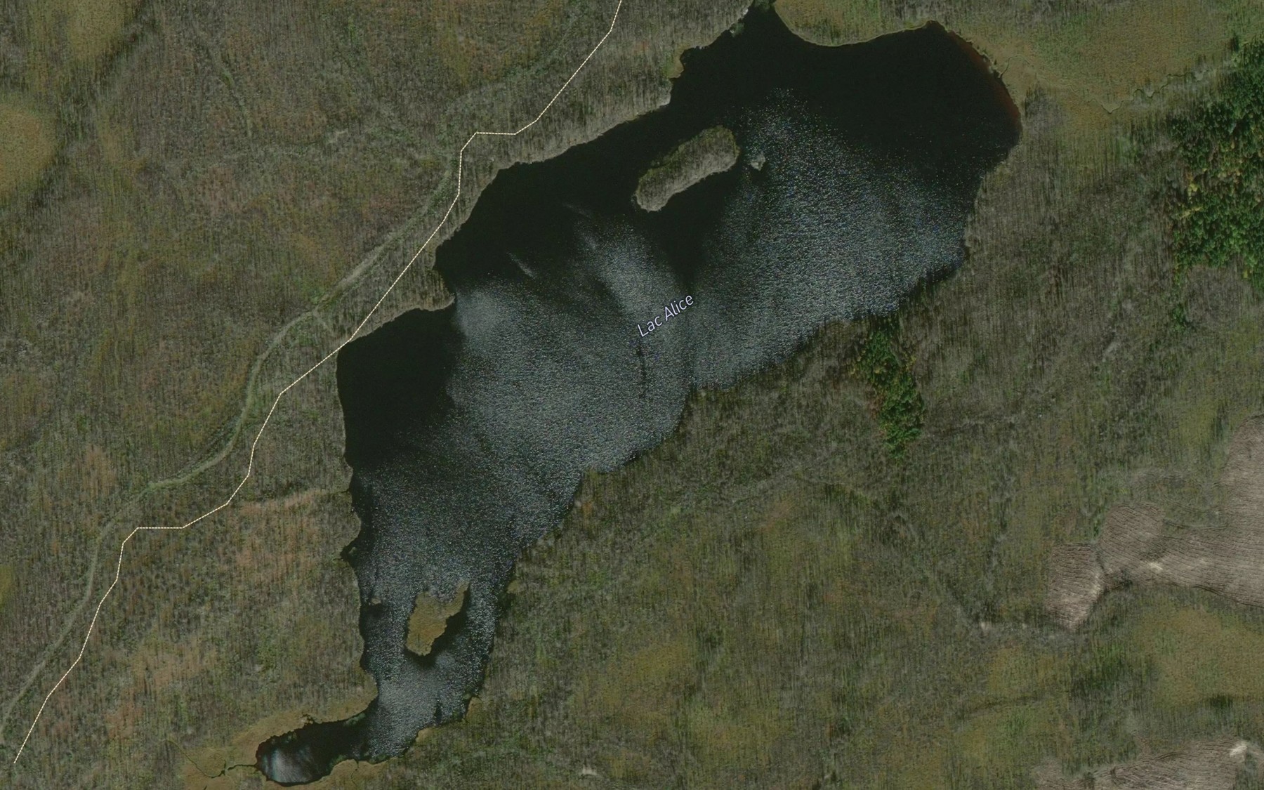 Satellite map of the Lac Alice