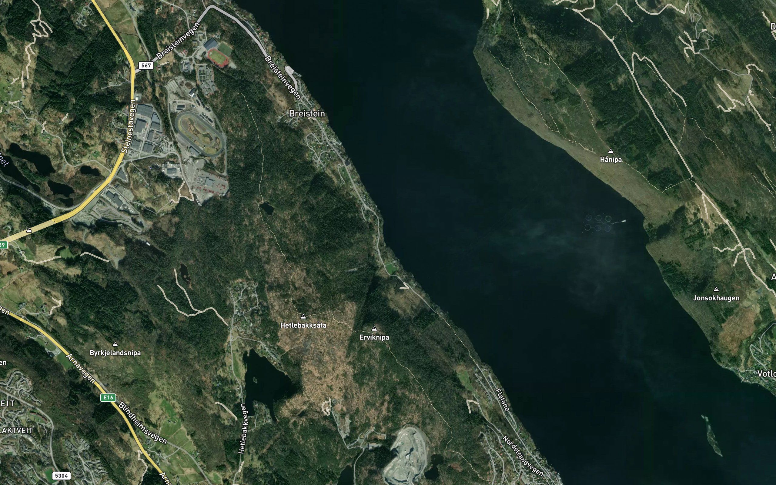 Ervika
