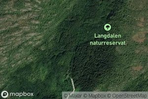 Skogabekken