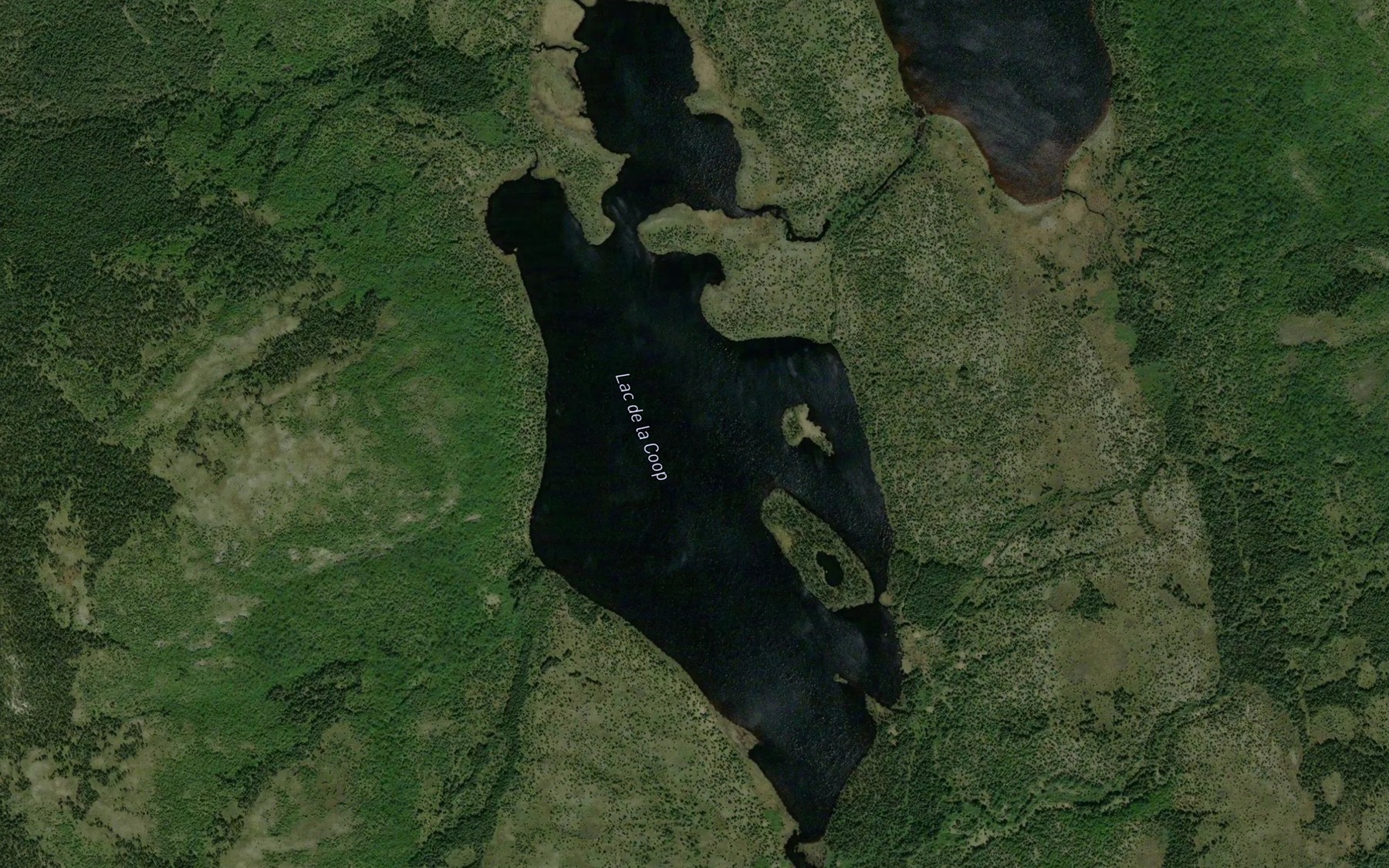 Satellite map of the Lac Alain-Potvin
