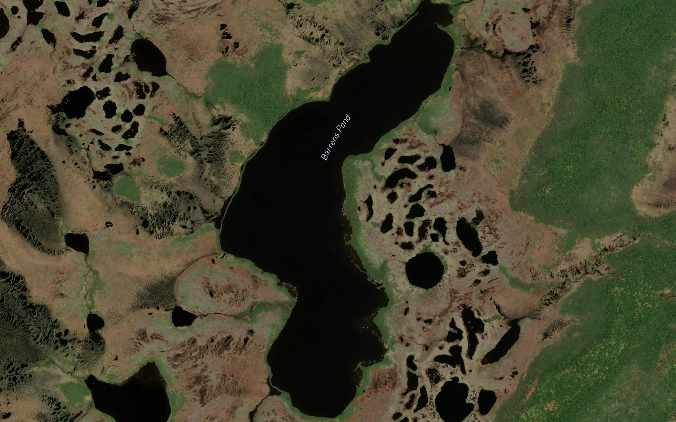 Barrens Pond