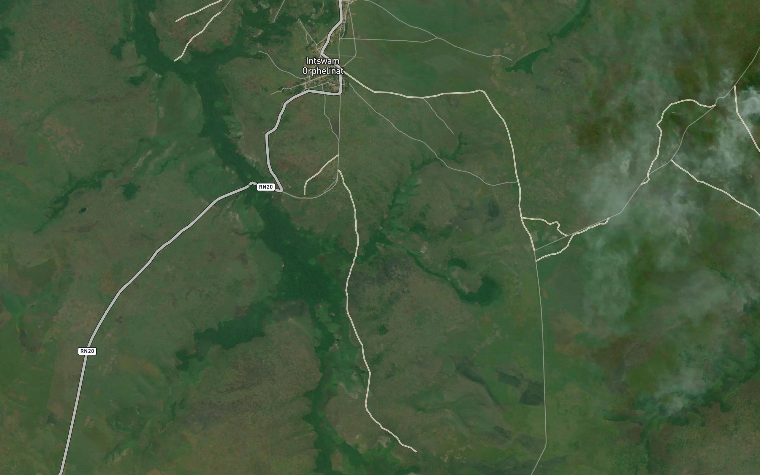 Ngulu
