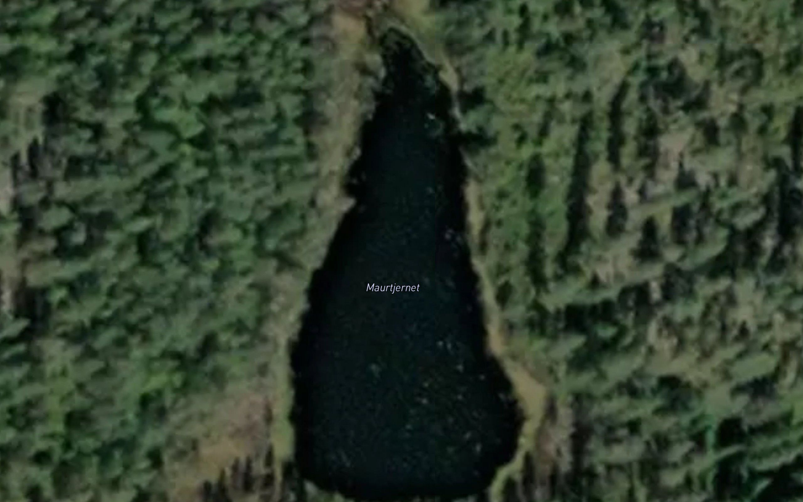 Maurtjernet