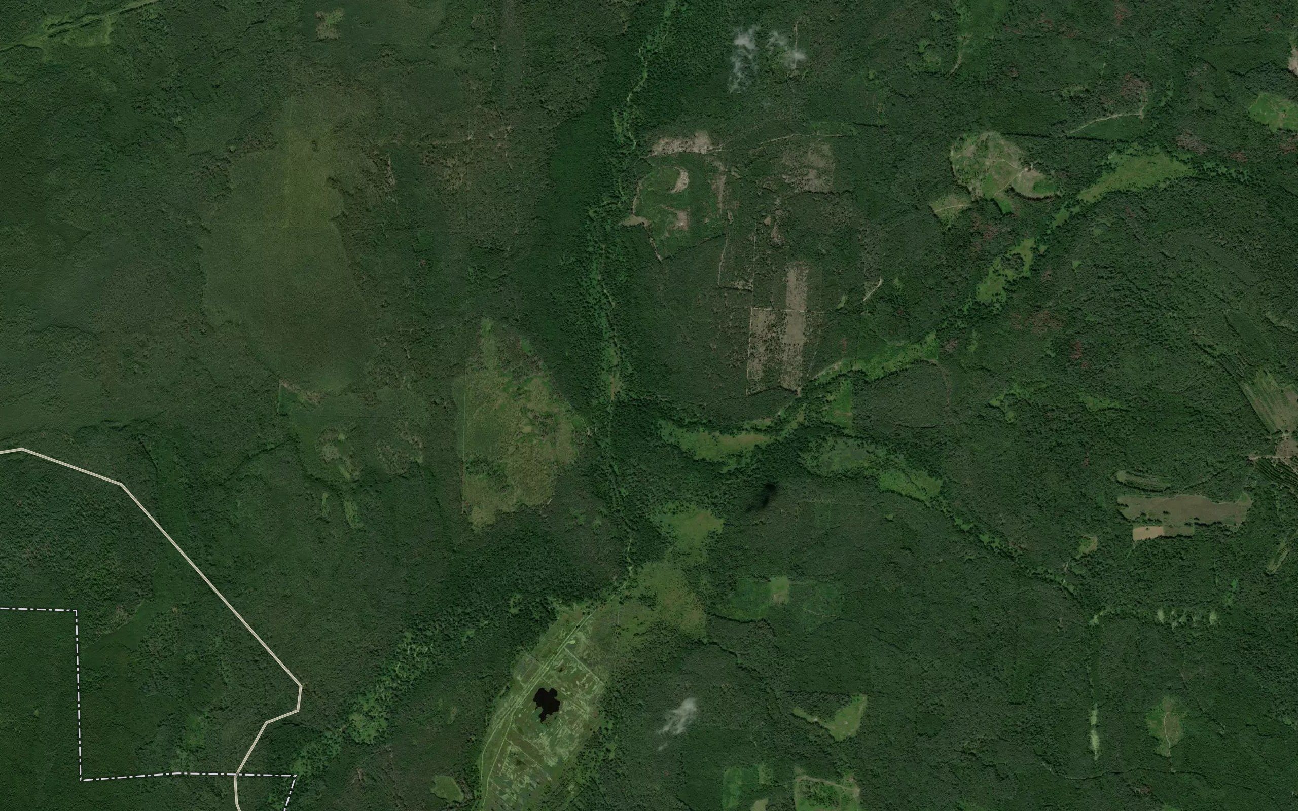 Rogoznya